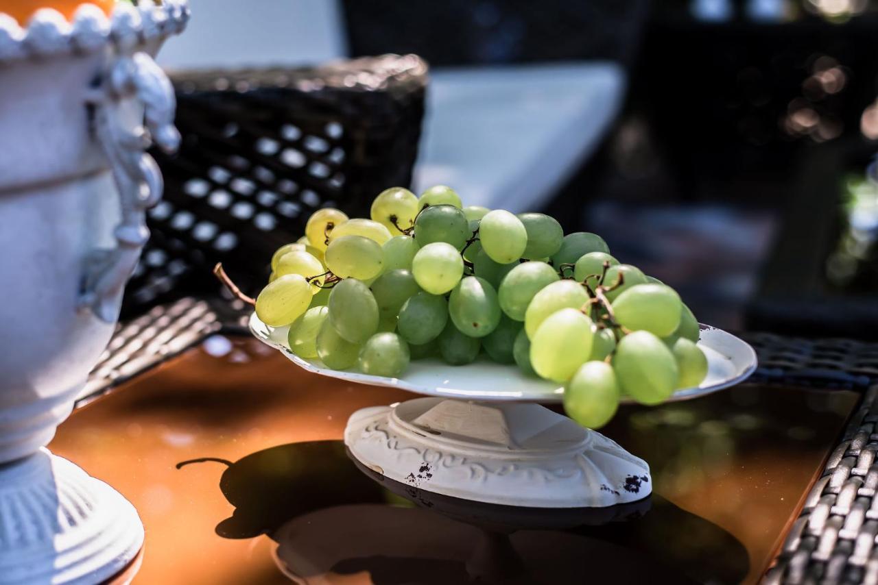 Nefelejcs Vendégház Toalmas Esterno foto