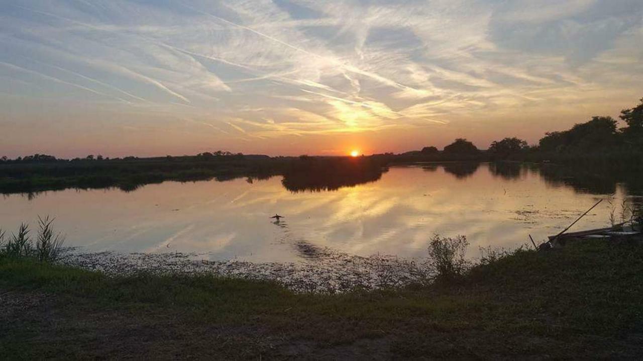 Nefelejcs Vendégház Toalmas Esterno foto