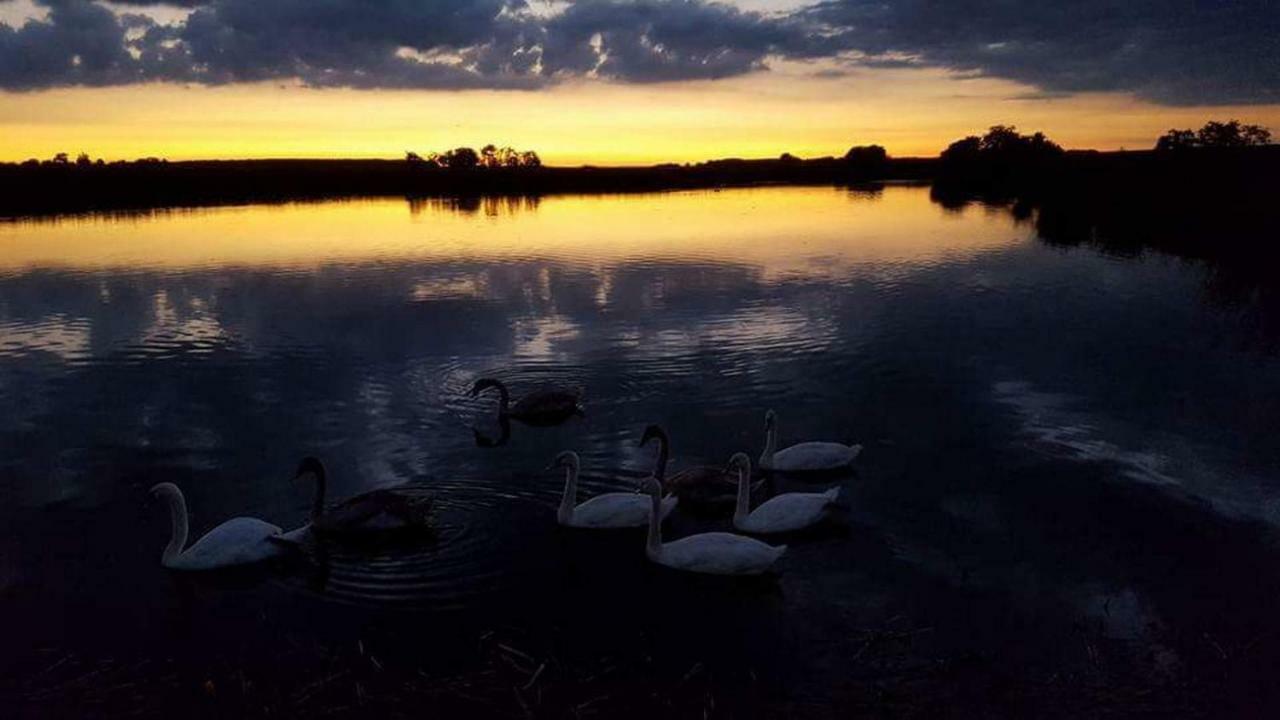 Nefelejcs Vendégház Toalmas Esterno foto